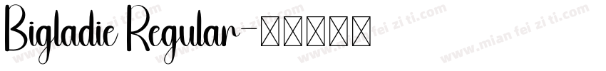 Bigladie Regular字体转换